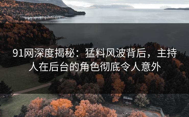 91网深度揭秘：猛料风波背后，主持人在后台的角色彻底令人意外