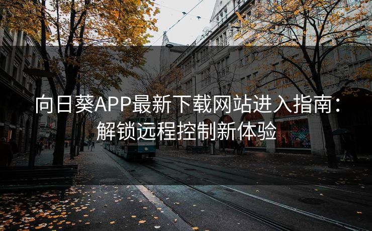 向日葵APP最新下载网站进入指南：解锁远程控制新体验