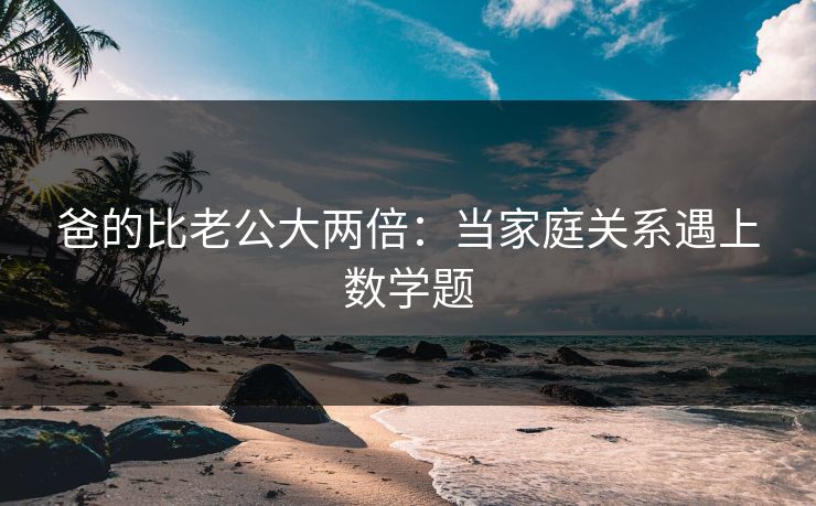 爸的比老公大两倍：当家庭关系遇上数学题