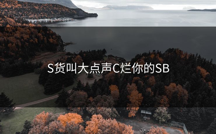S货叫大点声C烂你的SB