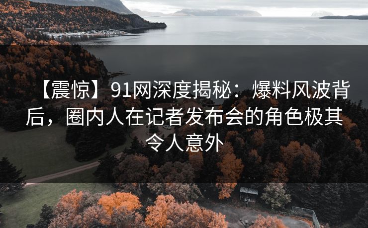 【震惊】91网深度揭秘：爆料风波背后，圈内人在记者发布会的角色极其令人意外