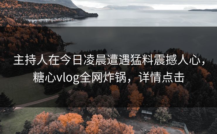 主持人在今日凌晨遭遇猛料震撼人心，糖心vlog全网炸锅，详情点击
