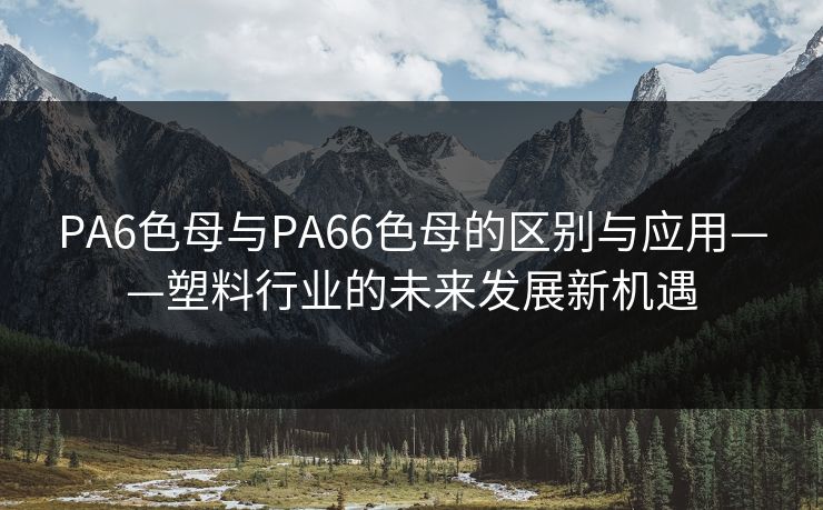 PA6色母与PA66色母的区别与应用——塑料行业的未来发展新机遇