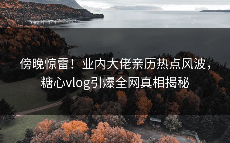 傍晚惊雷！业内大佬亲历热点风波，糖心vlog引爆全网真相揭秘