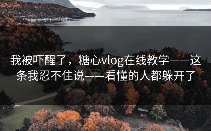 我被吓醒了，糖心vlog在线教学——这条我忍不住说——看懂的人都躲开了