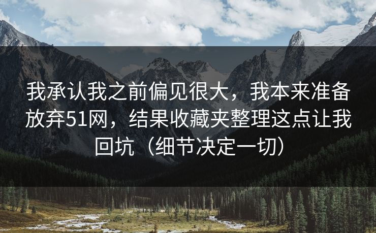 我承认我之前偏见很大，我本来准备放弃51网，结果收藏夹整理这点让我回坑（细节决定一切）